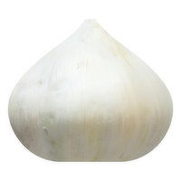 Fresh Garlic Bulb