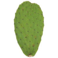 Fresh Nopal - 1.62 Pound 