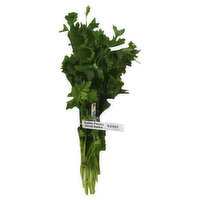 Fresh Parsley, Italian