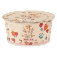 Painterland Sisters Yogurt, Organic, Skyr, Meadow Berry, Icelandic Style - 5.3 Ounce