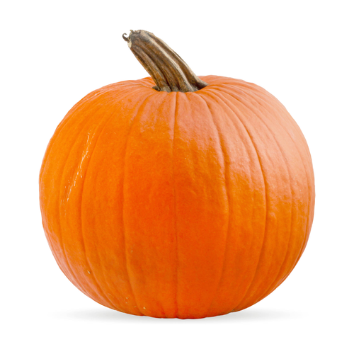  Pumpkin Pie Squash - 1 Each
