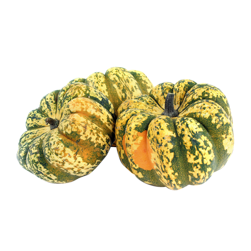 Carnival Squash - Avg 1.40 Lbs