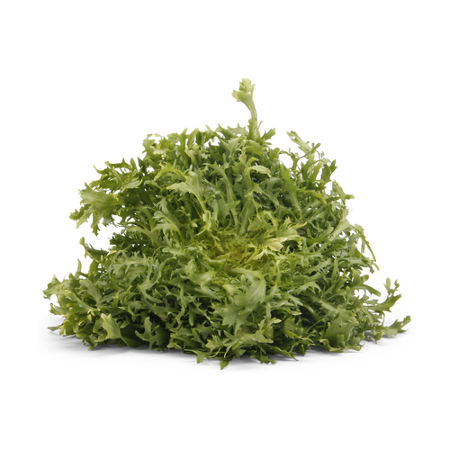  Frisee Greens - 1 Each