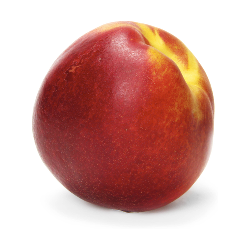  Nectarine - Avg 0.40 Lb