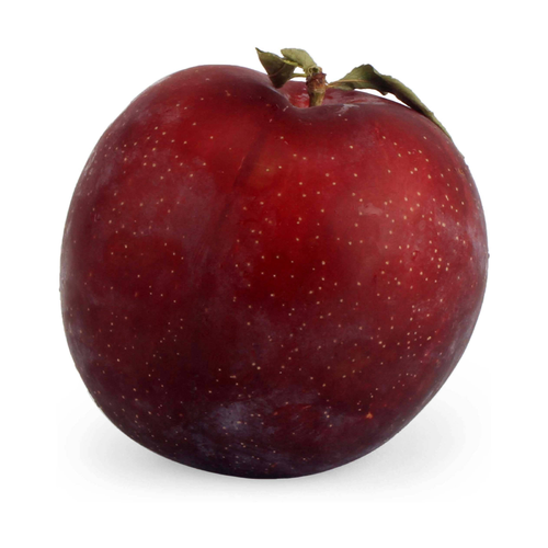 Produce Black Plumcot - Avg 0.45 Lb