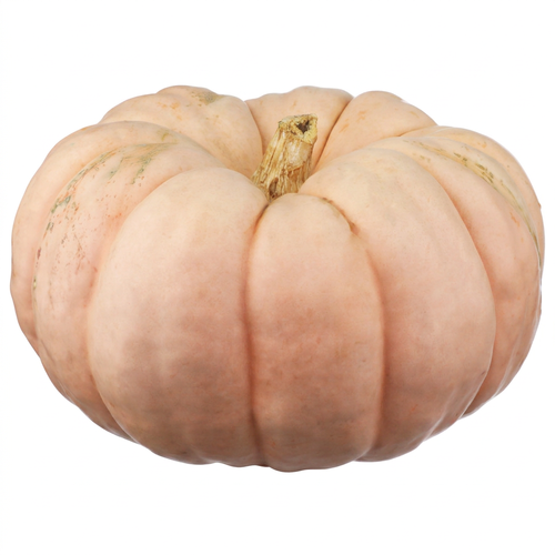  Porcelain Doll Pink Pumpkin - 1 Each