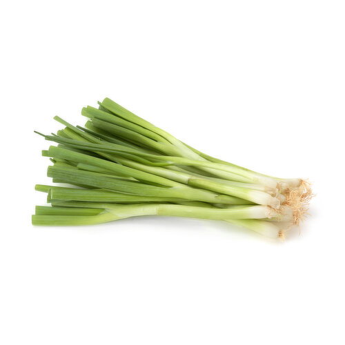  Green Onions - 1 Each