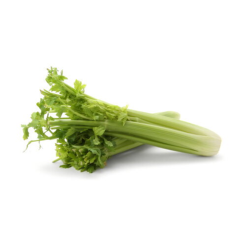  Celery - 1 Each