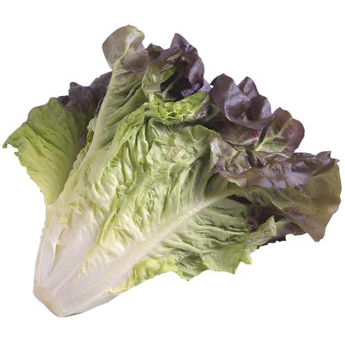 Lettuce, Red Leaf - 1 Each