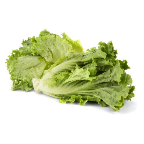 Leaf Lettuce - 1 Each