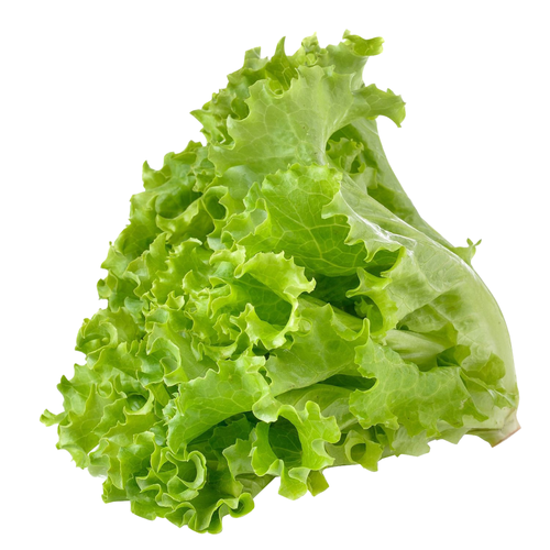 Lettuce, Leaf - 1 Each