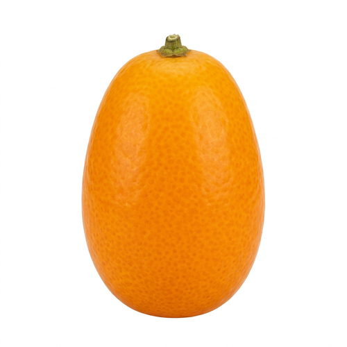  Kumquat - 1 Each