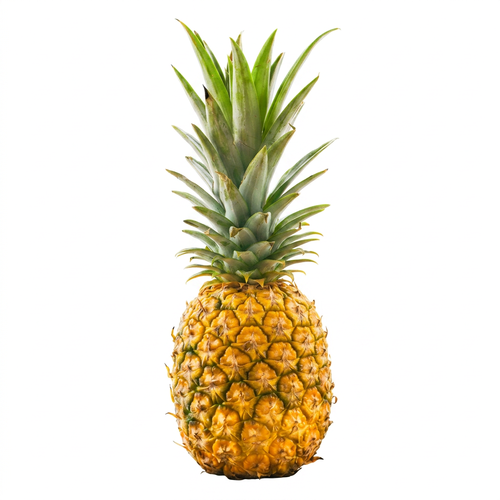 Pineapple All Sizes - 1 Each