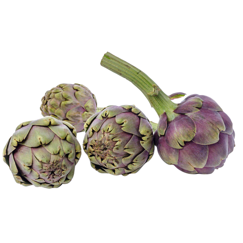  Purple Artichokes - 1 Each