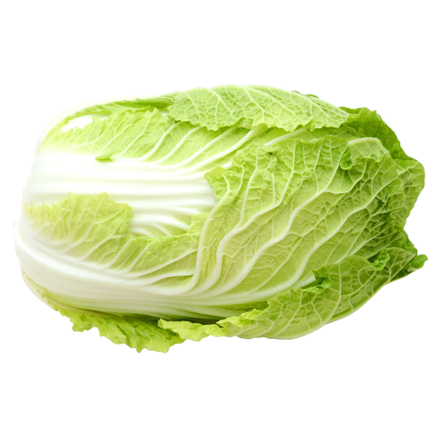 Napa Cabbage - Avg 2.50 Lbs
