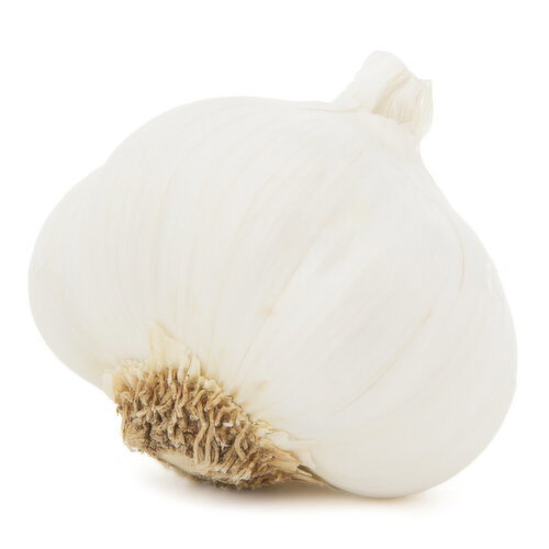 FRIEDA's Garlic White Colossal - 1 Each