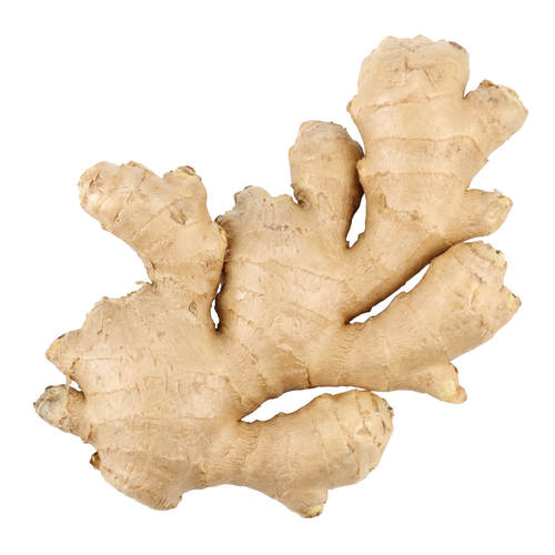  Ginger Root - Avg 2.25 Lbs