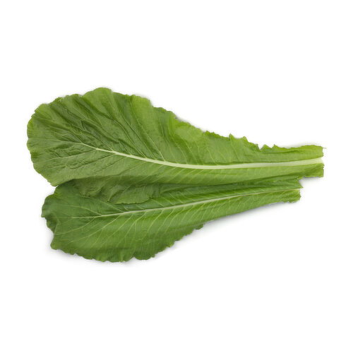  Turnip Greens - 1 Each