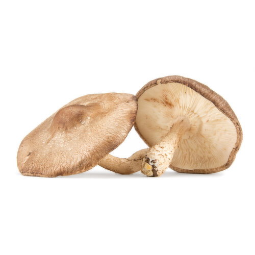  Shiitake Mushrooms - Avg 0.27 Lb