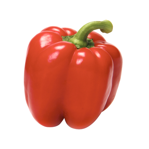 Red Bell Pepper - 1 Each