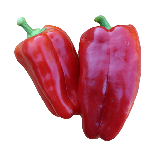 Chile Long Red Nl - Avg 0.15 Lb