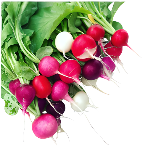 Produce Radishes Assorted Bby - 1 Each - 1 Each
