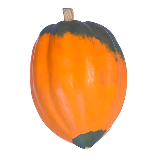 Squash, Acorn - Avg 2.25 Lbs
