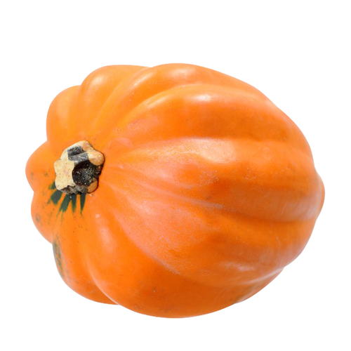 Gold Acorn Squash - Avg 1.70 Lbs