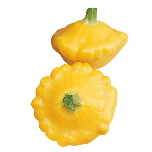  Sunburst Squash - Avg 0.13 Lb