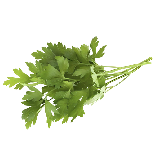 Parsley - 1 Each