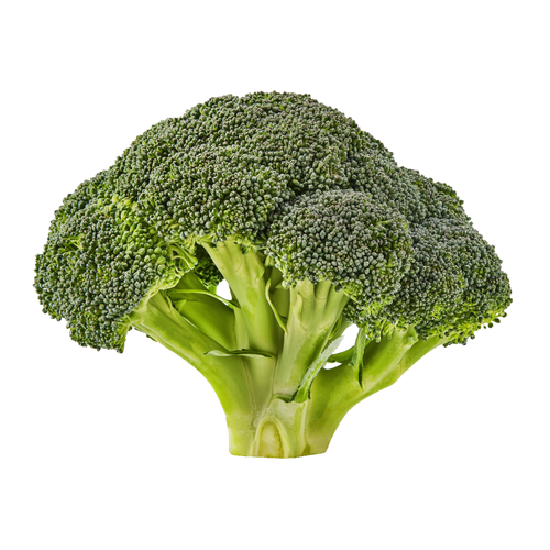 Organic Broccoli Crown - Avg 1.11 Lbs