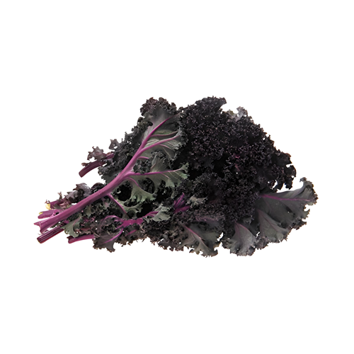 Organic Red Kale - 1 Each