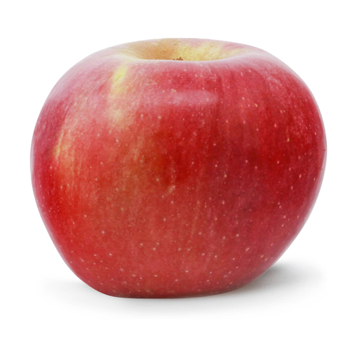  Organic Sweetango Apple - Avg 1.39 Lbs