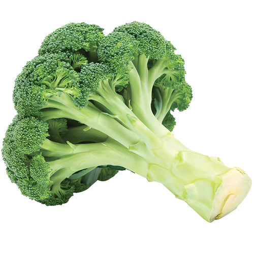 Fresh Organic Broccoli - 1 Each