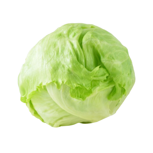 Organic Iceberg Lettuce - 1 Each