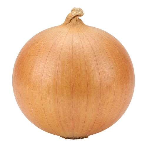  Organic Yellow Onion - Avg 0.70 Lb