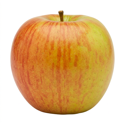  Organic Braeburn Apple - Avg 0.27 Lb