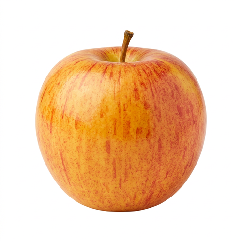  Organic Gala Apple - 1 Each