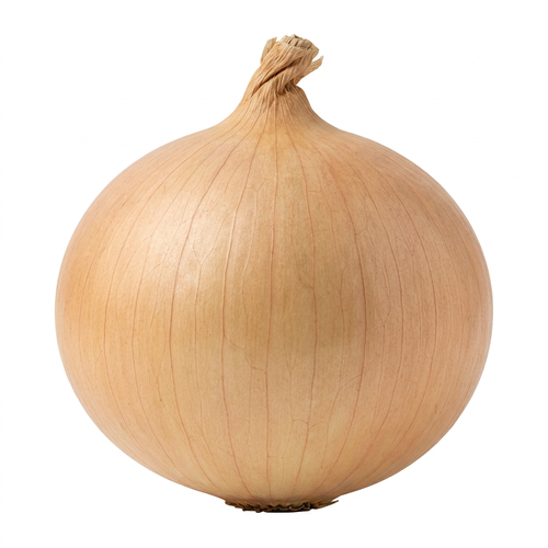  Organic Vidalia Onion - Avg 0.90 Lb