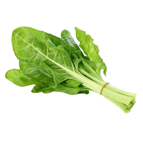  Organic Green Chard - Avg 0.88 Lb