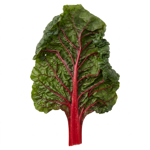  Organic Red Swiss Chard - 1 Each