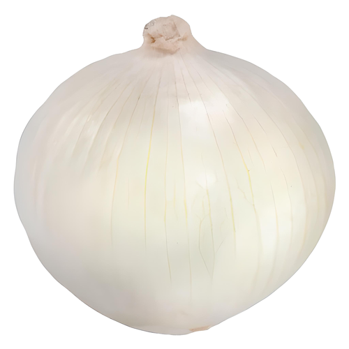 Organic Jumbo White Onion - Avg 1.21 Lbs