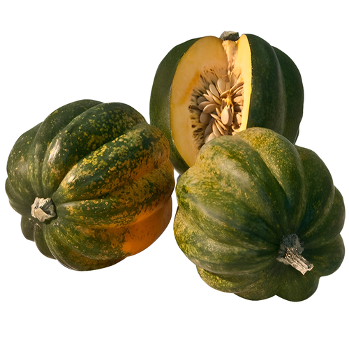 Organic Green Acorn Squash - Avg 1.60 Lbs