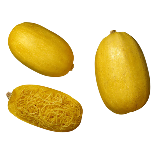 Organic Spaghetti Squash - Avg 3.20 Lbs