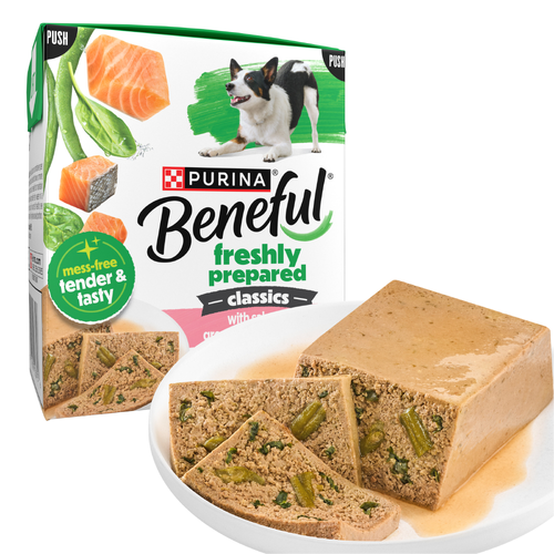 Purina Beneful Freshly Prepared Classics With Salmon - 9.5 Ounce