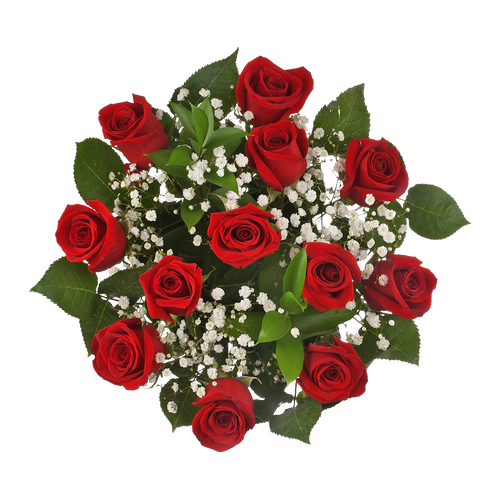 Premium Dozen Rose Bouquet - 1 Each