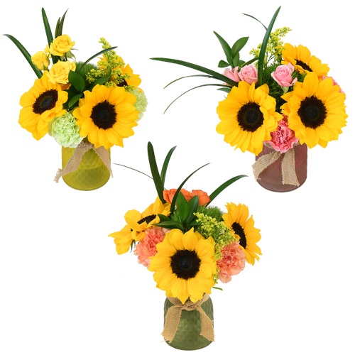 Petite Arrangement - 1 Each