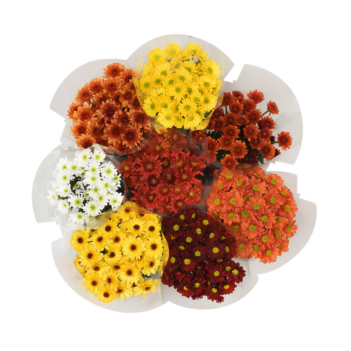 Seasonal Pom Box - 1 Each