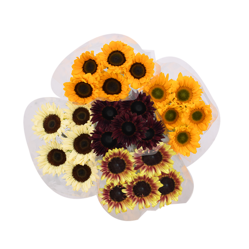 Novelty Sunflower Box - 1 Each
