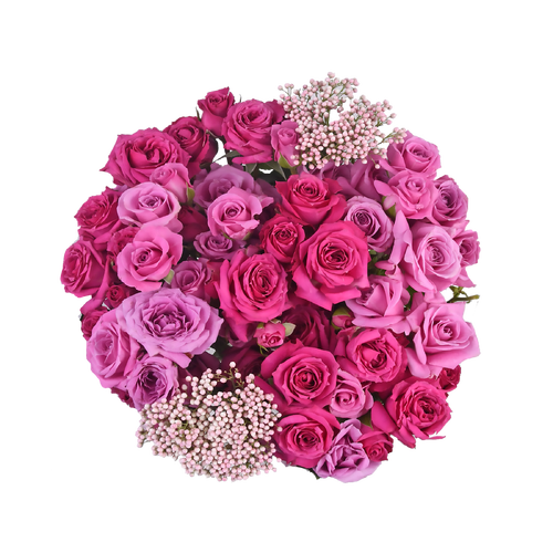 Spray Rose With Filler Bouquet - 1 Each